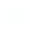 react and native vector